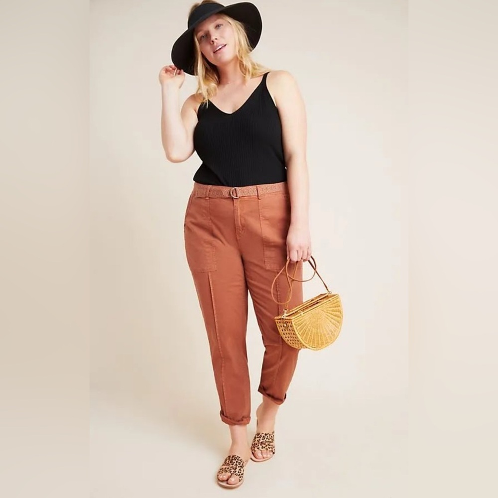 Anthropologie “The Wanderer” Pants